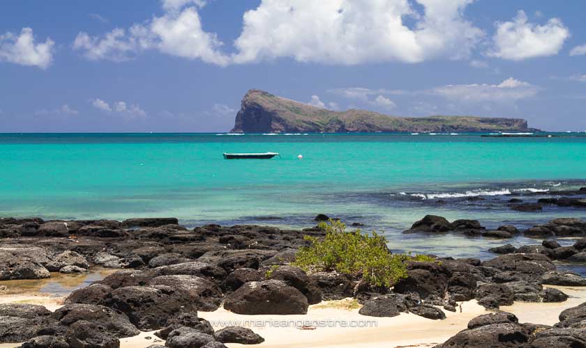 Plongée au Coin de Mire, île Maurice – Marie-Ange Ostré