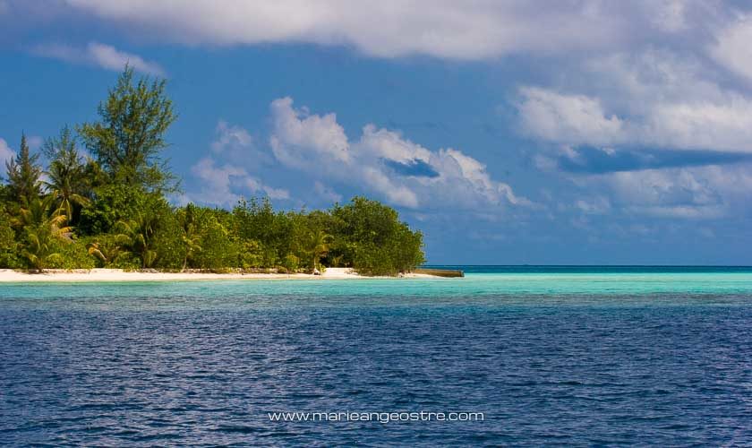 Maldives, lagon du Halaveli Resort