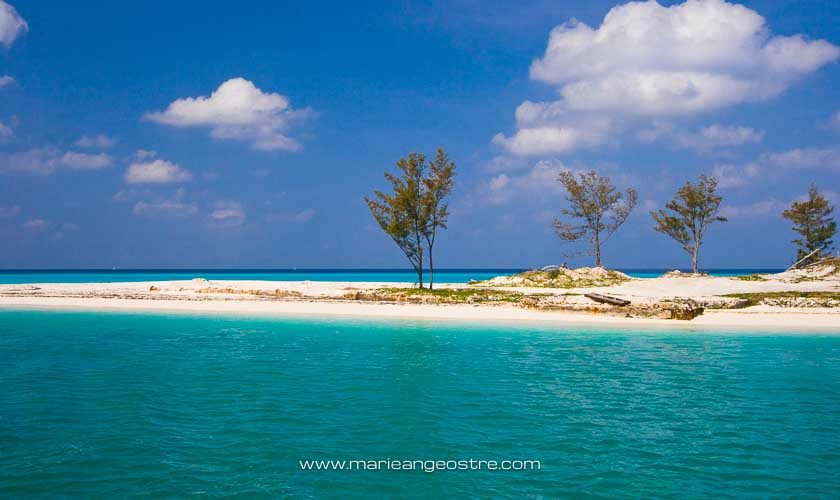 Bahamas, plage sauvage sur l'île de Bimini