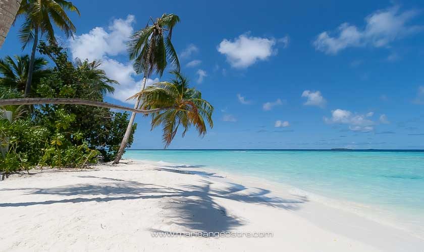 Plage du Constance Halaveli Maldives