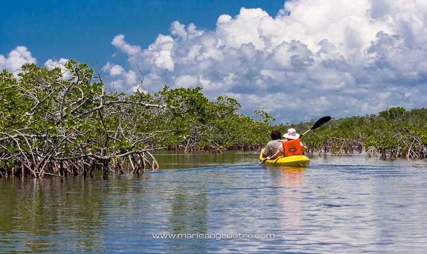 Kayak en mangrove île Grand Bahama © Marie-Ange Ostré