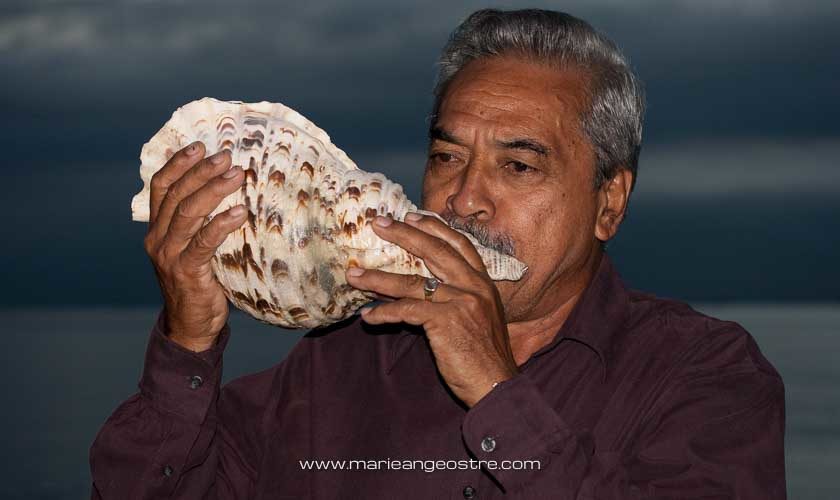 Tonga, musicien traditionnel